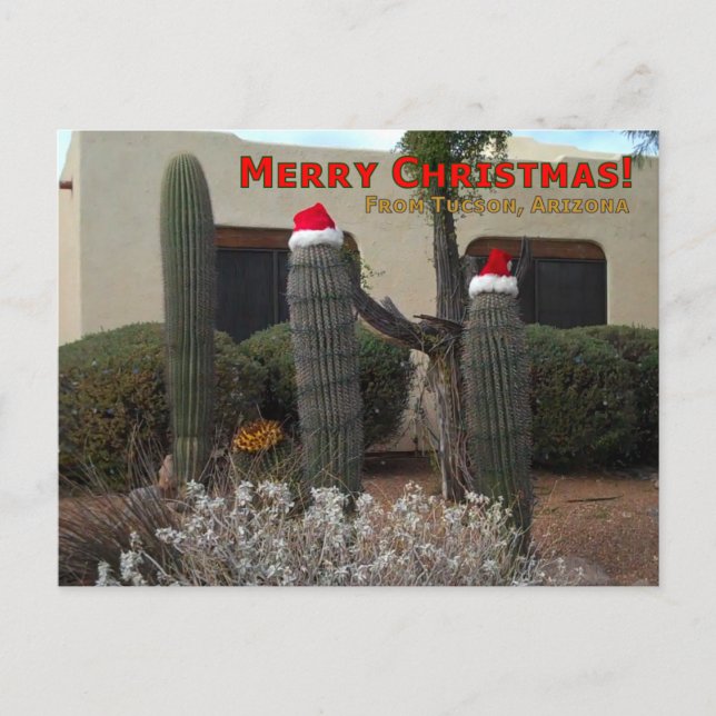 Merry Christmas from Tucson Holiday Postcard (Front)