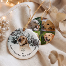 Merry Christmas From Your Fur Baby 5 Photo Dog