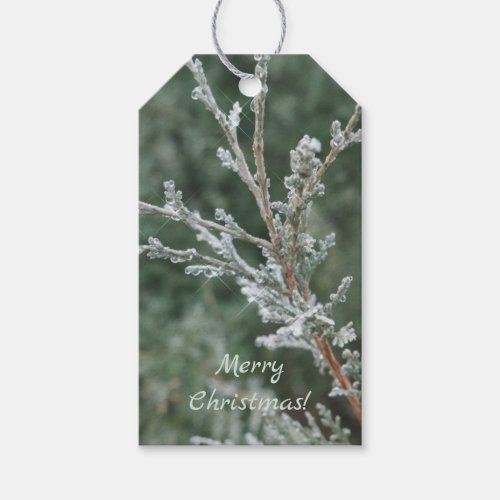 Merry Christmas Frosty Evergreen Photo  Gift Tags