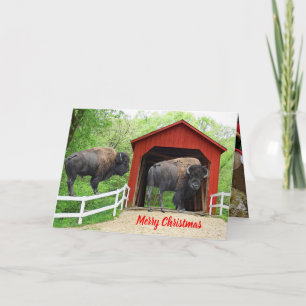 Merry Christmas Funny Buffalo Red Covered Bridge Holiday Card