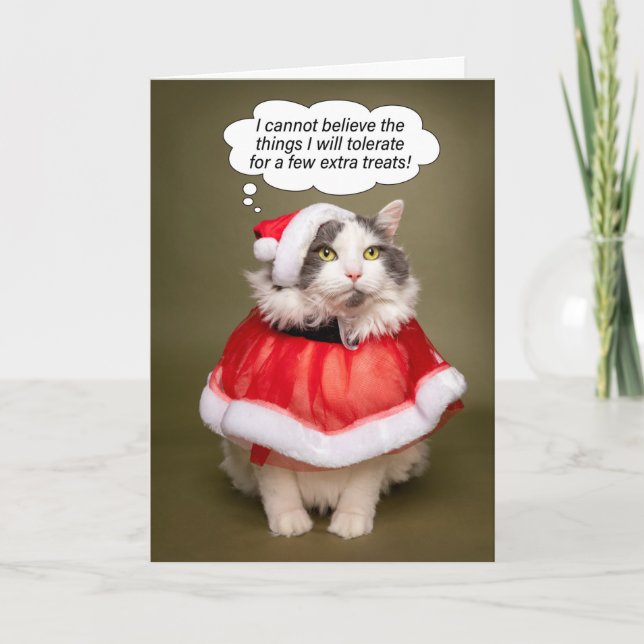 Merry Christmas Funny Cat Dressed in Santa Clothes Holiday Card (Front)