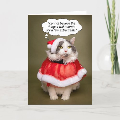 Merry Christmas Funny Cat Dressed in Santa Clothes Holiday Card