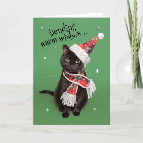 Merry Christmas Funny Cat in Hat and Scarf Holiday Card