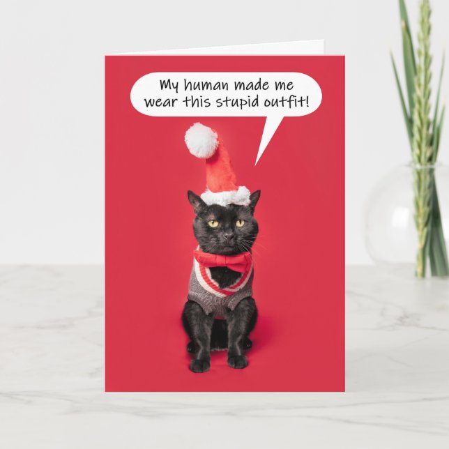Merry Christmas Funny Cat in Holiday Outfit Card (Front)
