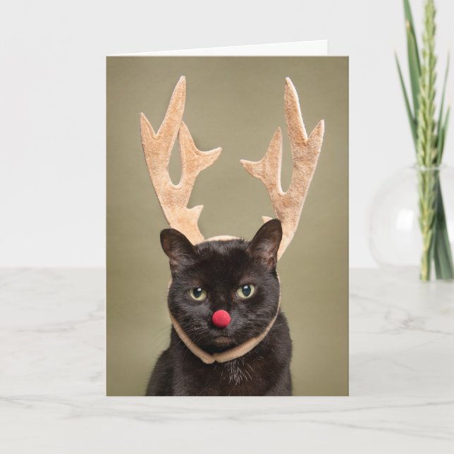 Merry Christmas Funny Cat in Reindeer Antlers Holiday Card (Front)