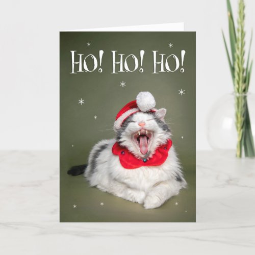 Merry Christmas Funny Cat Saying Ho Ho Ho Holiday Card