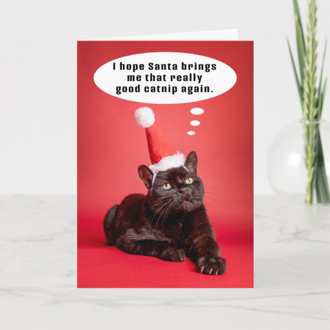 Merry Christmas Funny Cat Thinking of Catnip Humor Holiday Card (Front)
