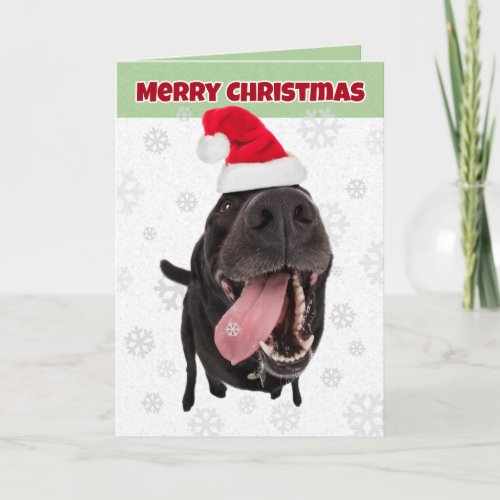 Merry Christmas Funny Dog Catching Snowflakes Holiday Card