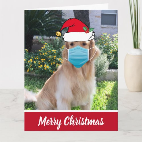 Merry Christmas Funny Dog in Face Mask Card