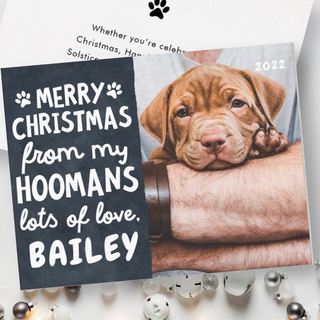 Merry Christmas Funny Modern Pet Custom Photo Holiday Card (Creator Uploaded)