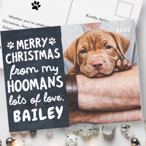 Merry Christmas Funny Modern Pet Custom Photo Holiday Postcard