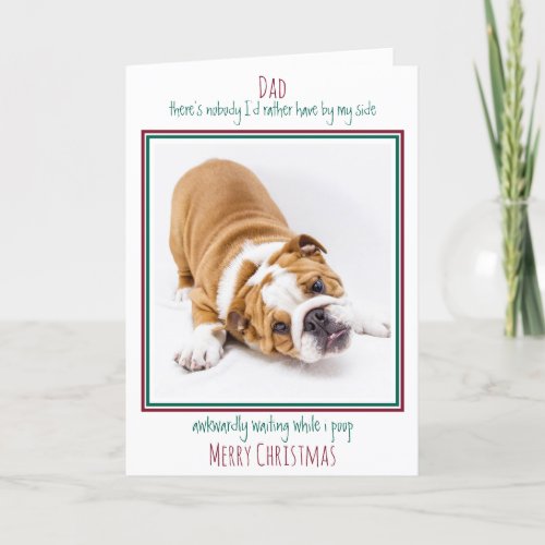 Merry Christmas Funny Pet Photo Dog Dad Holiday Card