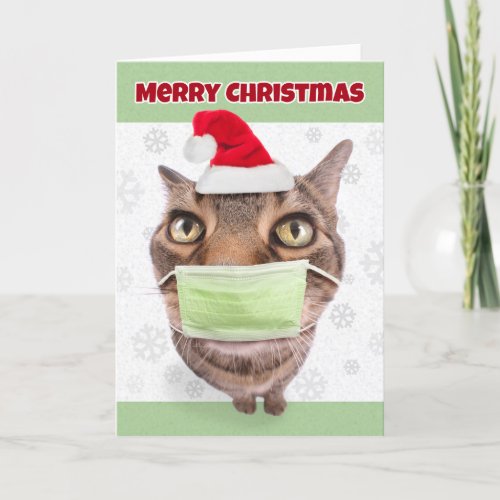 Merry Christmas Funny Tabby Cat in Face Mask Holiday Card