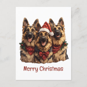 Merry Christmas German Shepherd Dogs Postcard
