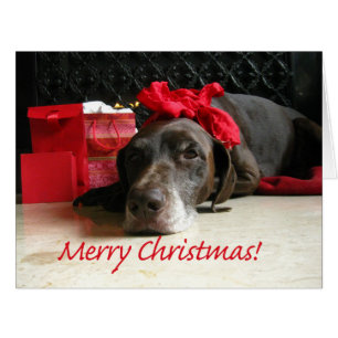 Merry Christmas German Shorthaired Pointer Cards