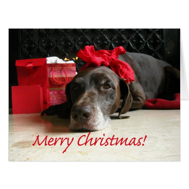 Merry Christmas German Shorthaired Pointer Cards (Front Horizontal)