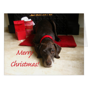 Merry Christmas German Shorthaired Pointer Cards