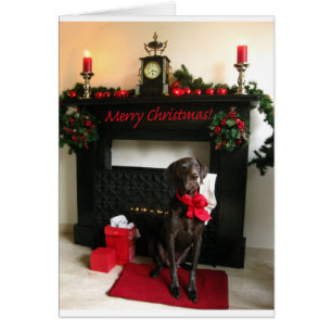 Merry Christmas german shorthaired pointer Cards