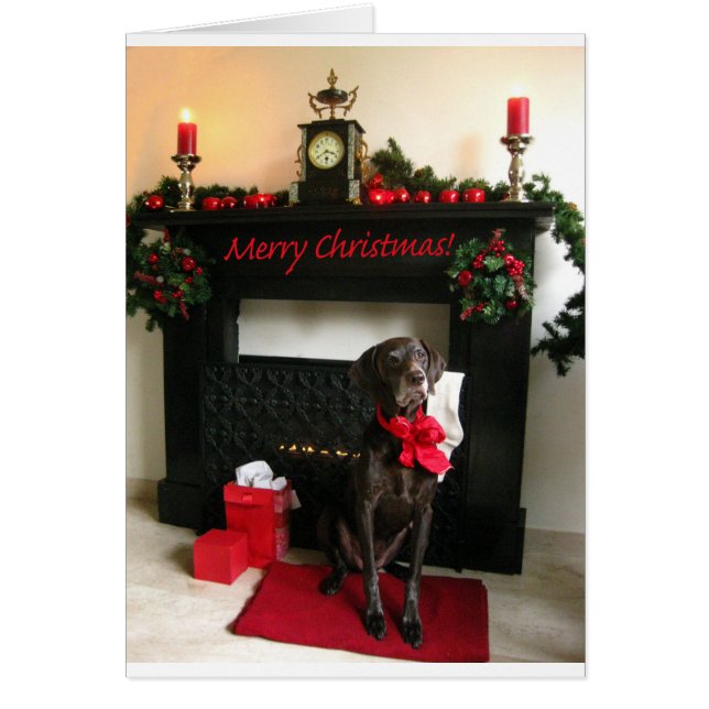 Merry Christmas german shorthaired pointer Cards (Front)