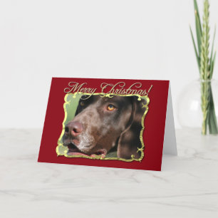 Merry Christmas German Shorthaired pointer dog Holiday Card