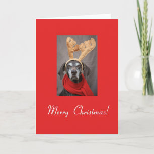 Merry Christmas German Shorthaired Pointer Holiday Card