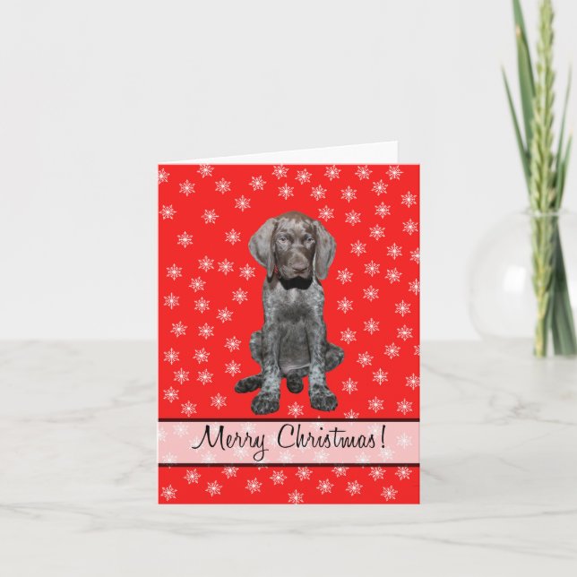 Merry Christmas german shorthaired pointer Holiday Card (Front)