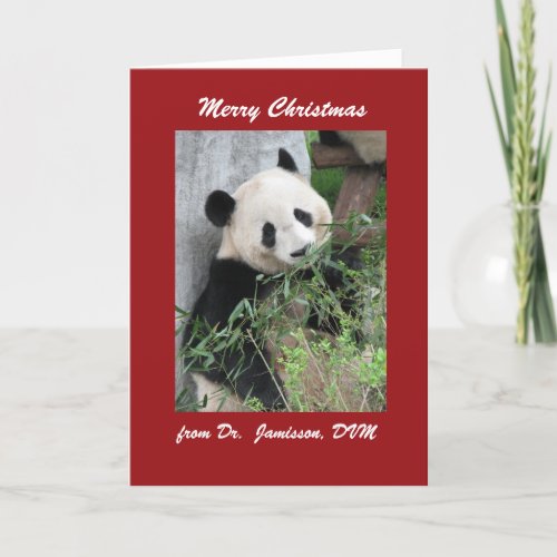 Merry Christmas Giant Panda Veterinarian Red Holiday Card