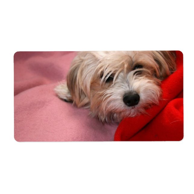 Merry Christmas gift tag labels (Front)