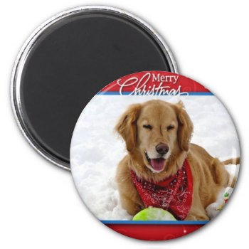 Merry Christmas Golden Magnet by dbrown0310 at Zazzle