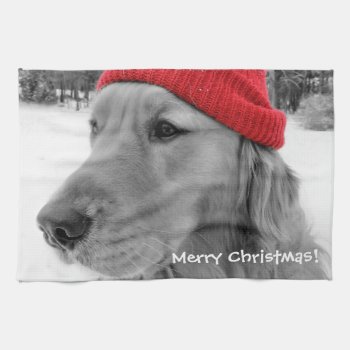 Merry Christmas Golden Retriever Kitchen Towel by artinphotography at Zazzle