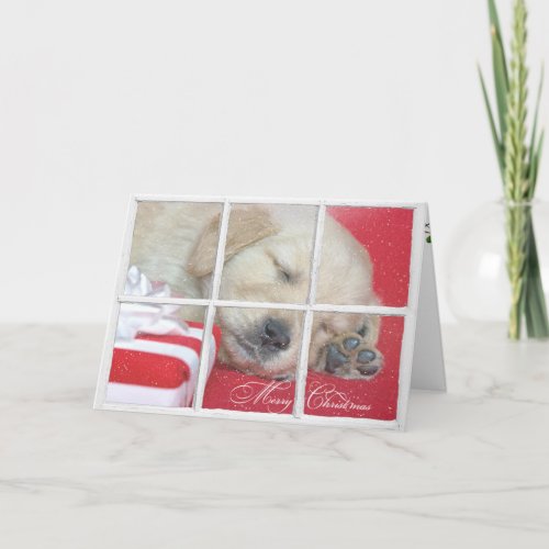 Merry Christmas_golden retriever pup Holiday Card