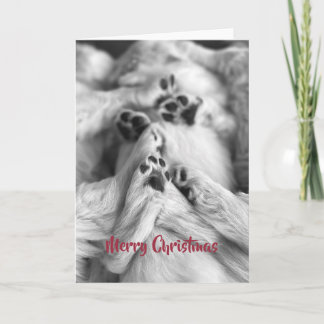Merry Christmas Golden Retriever Puppy Paws Card