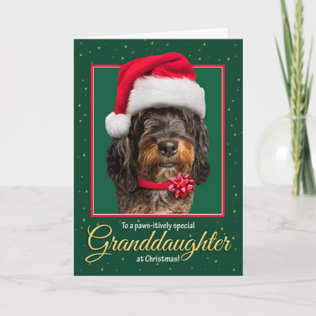 Merry Christmas Granddaughter Bernedoodle Dog  Holiday Card (Front)