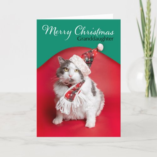 Merry Christmas Granddaughter Cute Cat in Hat Holiday Card