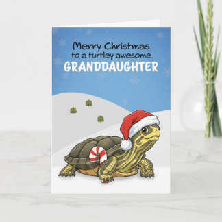 Merry Christmas Granddaughter Turtle in Santa Hat Holiday Card