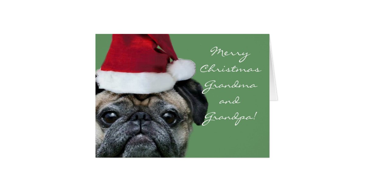 Merry Christmas Grandma And Grandpa Pug Card Zazzle