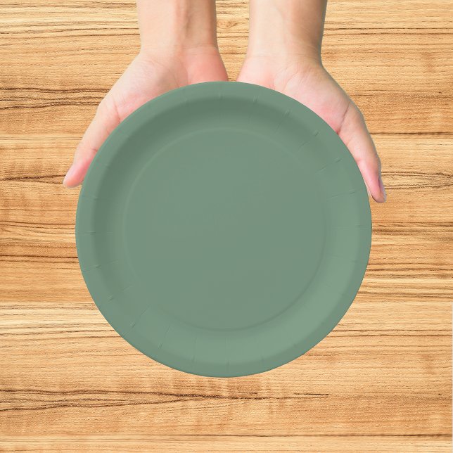 Merry Christmas Green Paper Plates (Creator Uploaded)