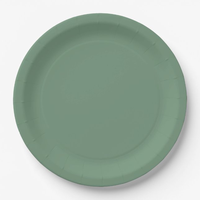 Merry Christmas Green Paper Plates (Front)