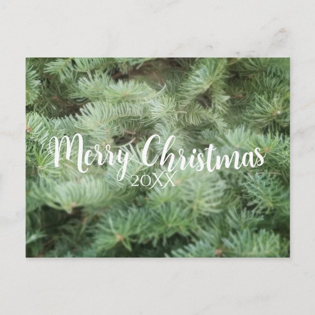 MERRY CHRISTMAS Green Pine Tree Holiday Postcard (Front)
