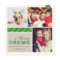 Merry Christmas Green Striped Collage Photo