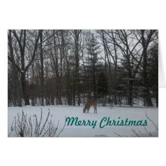 Merry Christmas Greeting Card - Deer