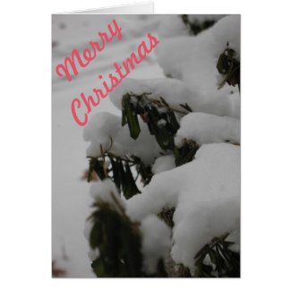 Merry Christmas Greeting Card - Snow Cover