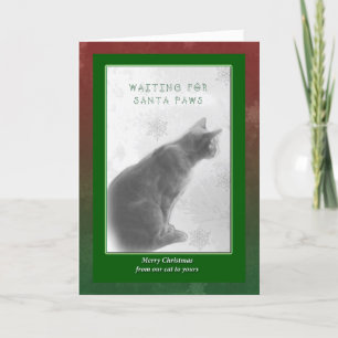 Merry Christmas Greeting - Watchful Kitty - Santa Holiday Card