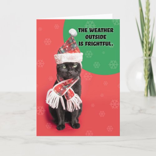 Merry Christmas Grumpy Black Cat in Hat and Scarf Holiday Card