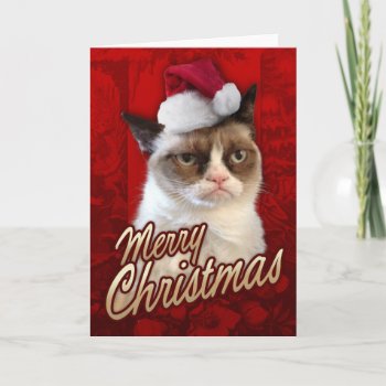 Merry Christmas Grumpy Cat Holiday Card by thegrumpycat at Zazzle