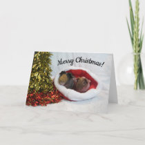 Merry Christmas Guinea Pig Card