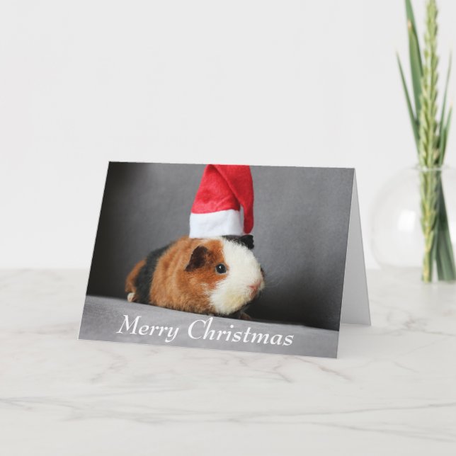 Merry Christmas Guinea Pig in a Santa Hat Card (Front)