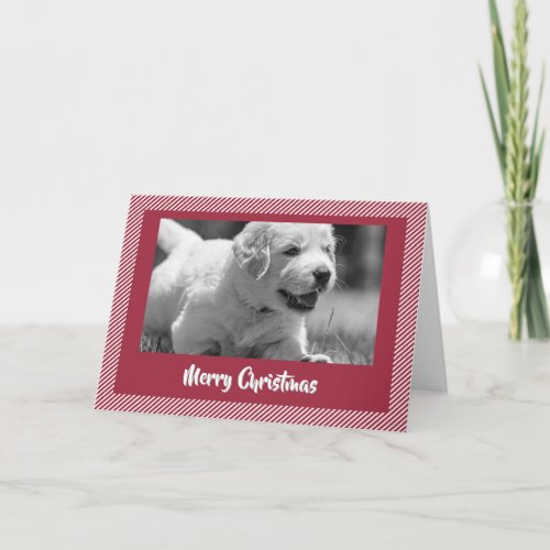 Merry Christmas Happy Golden Retriever Puppy Card