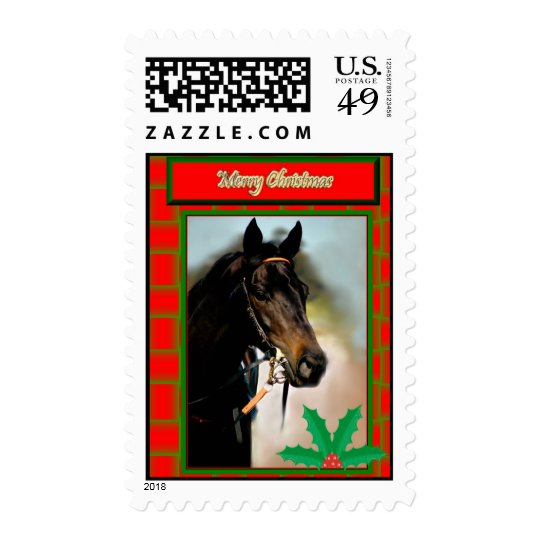 Merry Christmas Happy Holidays wishes Xmas Postage