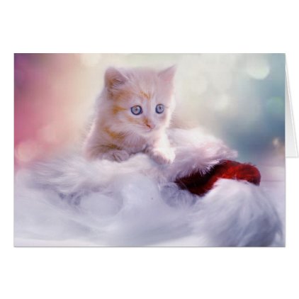 Merry Christmas &amp; Happy New Year Kitten Card